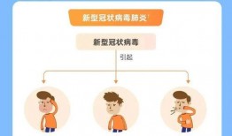 新冠肺病毒最新爆料,揭秘病毒变异与传播新趋势