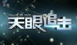 天眼追击在线观看